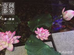 -碧露轩·大益茶体验馆(镇江路店)