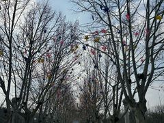 -白佛山景区
