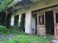 -枸杞岛