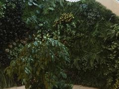 -郑州银基黄帝宫御温泉