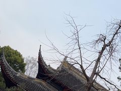 -西园戒幢律寺