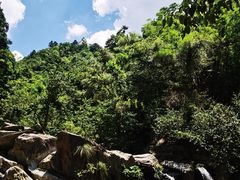 -庐山风景区花径公园