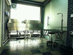 -鑫艺宠物美容培训学校