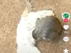 -昆明动物园