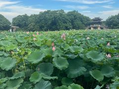 -印象西湖·最忆是杭州实景演出