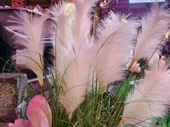 -韵秋荷(宝山龙湖天街店)