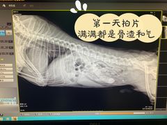-思宇宠物医院