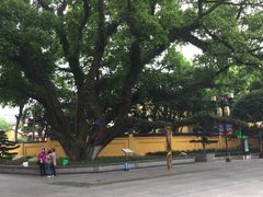 -桂林独秀峰王城景区