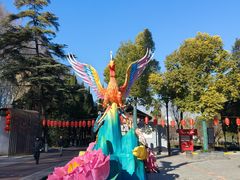-洛阳市牡丹公园