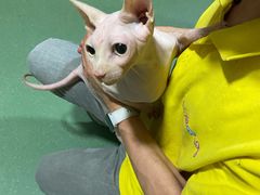 -藦茜花园宠物主题亲子互动体验馆(国顺东路店)