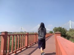 -芒洲湿地公园