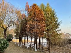 -云龙湖旅游景区