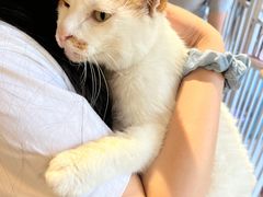 -平行世界·猫咖(首经贸店)