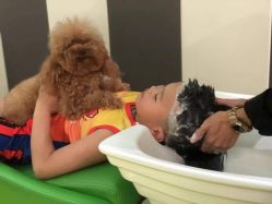 -爆米花儿童美发乐园(布吉华润万象汇店)