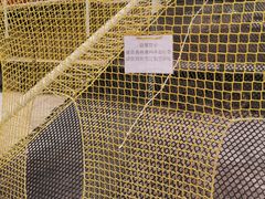 -北京鹿世界主题园