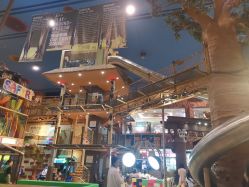 -卡通尼·Safari非洲探索乐园·生日会(金桥国际商业广场店)