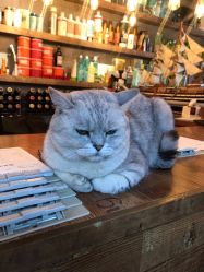 -青木造型HAIR·あおき髪を刈る潮人店