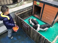 -上海崇明金茂凯悦酒店