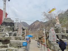 -大岭沟猕猴桃谷风景区
