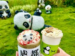 -成都大熊猫繁育研究基地