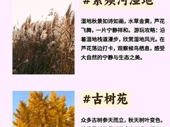 -河南省黄河迎宾馆