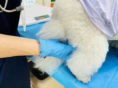 -美联众合动物医院·24h京西诊疗中心