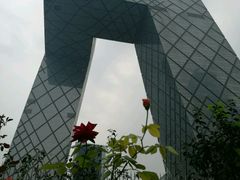 -中央广播电视总台(光华路办公区)