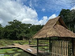-中国科学院西双版纳热带植物园