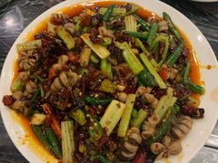 泡椒儿肠-江湖黑大兔(杨家坪店)