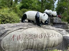-都江堰中华大熊猫苑