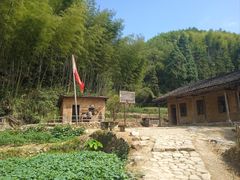 -龙坞茶村
