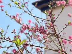 -乌山风景区