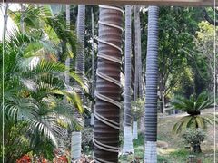 -顺丰轩园林酒家(天河店)