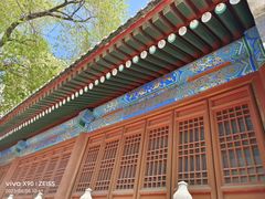 -法兴寺