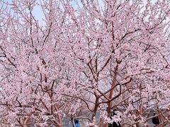 -北京明城墙遗址公园