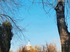 -国家图书馆·古籍馆