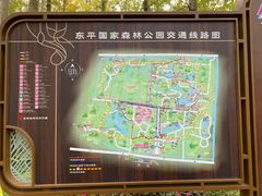 -东平国家森林公园