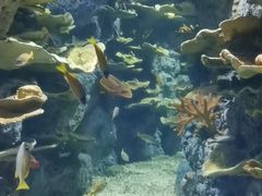 -福州罗源湾海洋世界旅游区