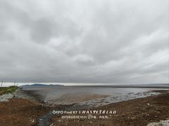 -大鹿岛