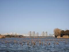 -云龙湖旅游景区