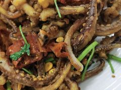 脆椒辣鱿鱼-兴国苑酒店