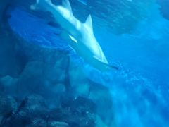 -常州海昌海洋探索馆