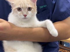 -佳雯宠物医院·皮肤科·内外科(春晓路分院)