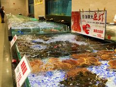 -雅盛品931海鲜酒家