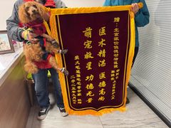 -北京派仕佳德动物医院·超导核磁·CT·神经科·骨科·内外科·急重症管理中心