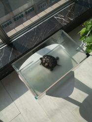 -宜肤清颜专业祛痘问题肌修护