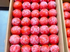 -鑫朱雀农贸批发市场