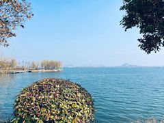 -南湖国家城市湿地公园