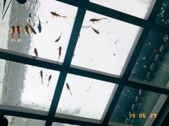 -蜜舍咖啡(洋人街店)