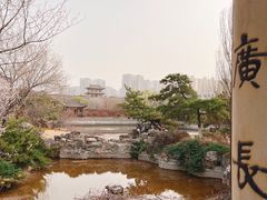 -善化寺